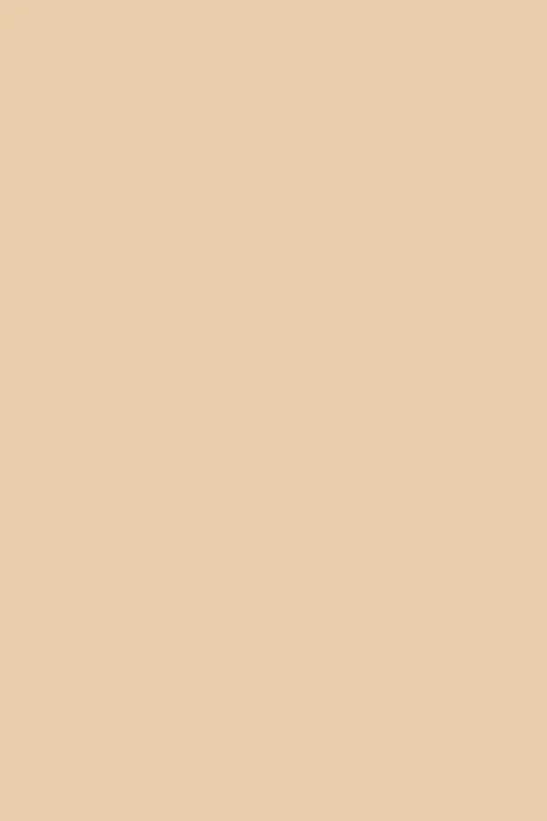 Champagne | Flat Waxed Shoelaces