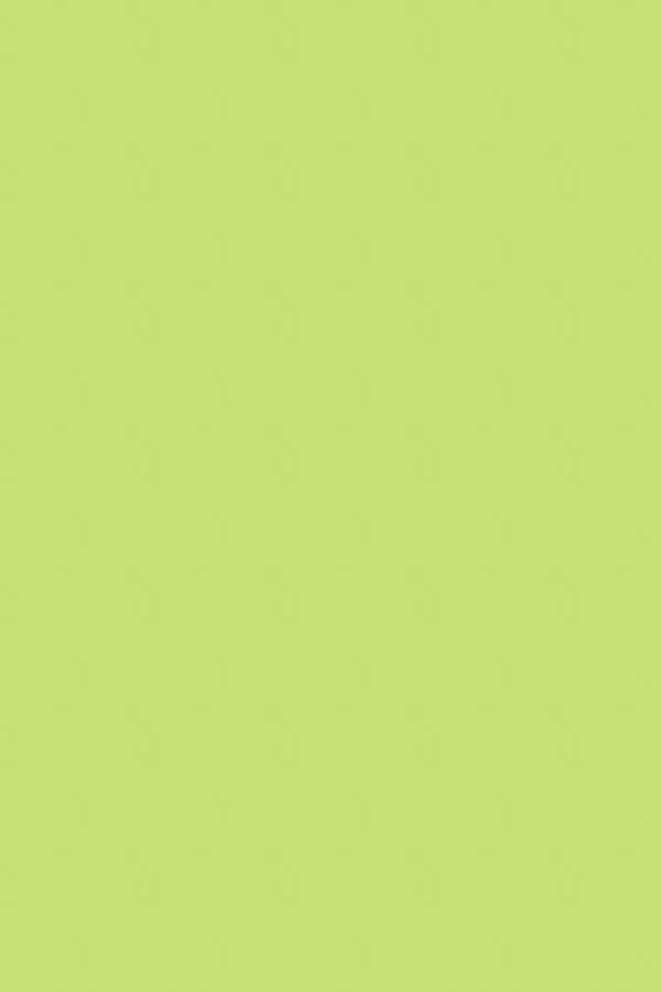 Pastel Green | Flat Waxed Shoelaces