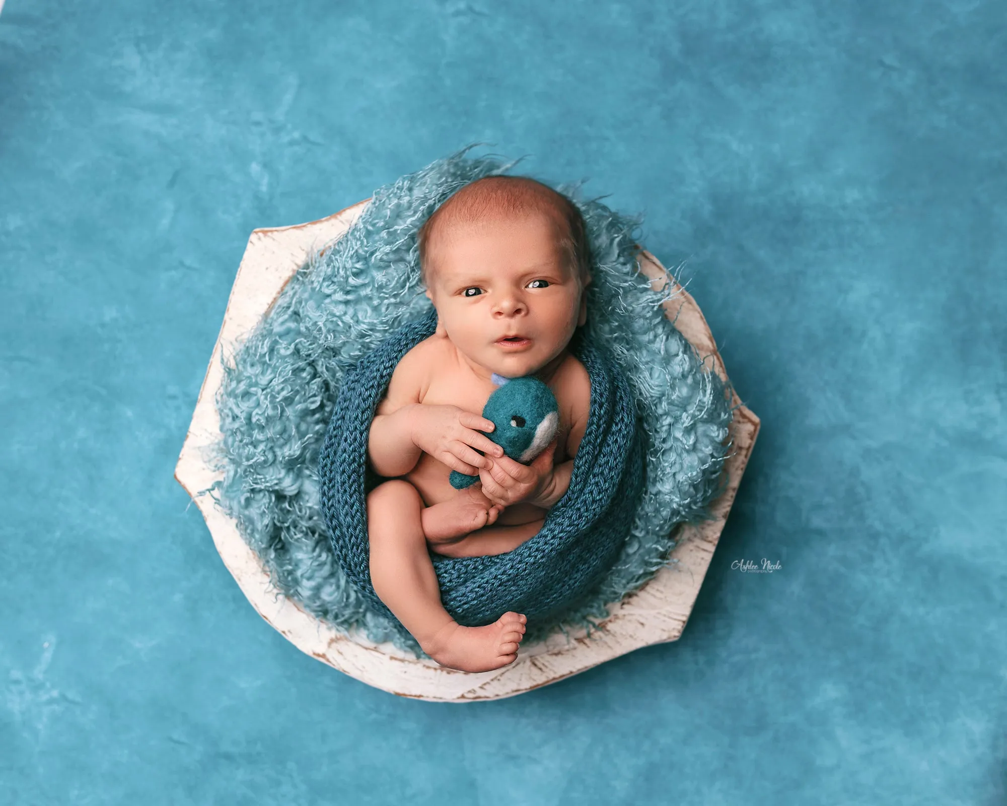 Radiant Teal - Petite